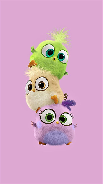 Baby Birds, cute cartoons HD phone wallpaper