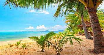 summer nature ultra HD wallpaper
