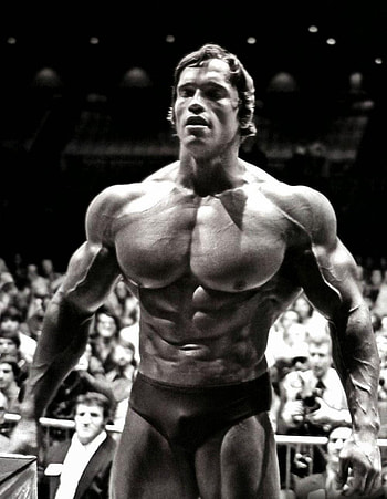 arnold schwarzenegger HD phone wallpaper