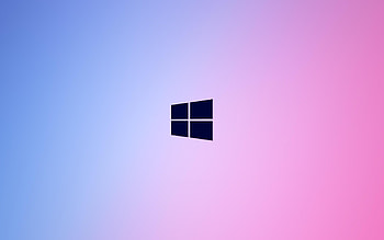 Pink Windows 10 HD wallpaper