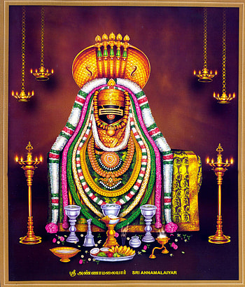 3 Thiruvannamalai, annamalaiyar HD phone wallpaper