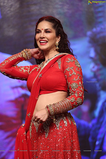 Sunny Leone In Saree, sunny leone saree HD phone wallpaper