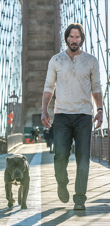 Movie John Wick: Chapter 2, john wick dog HD phone wallpaper