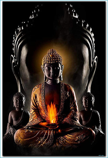 Buddha on Dog, 11 buddha HD phone wallpaper