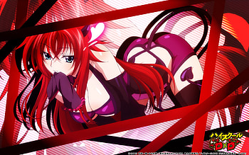 Rias Gremory, anime high school dxd rias HD wallpaper