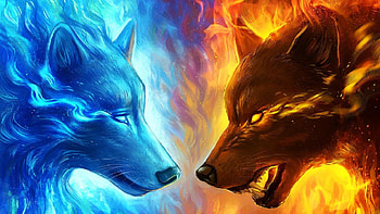 Fire Wolf Gif, gif wolf HD wallpaper