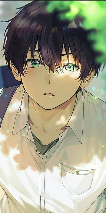 The Best 18 Cute Aesthetic Anime Boy Pfp, kawaii pfp HD phone wallpaper