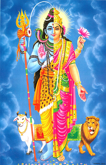 ardhnarishwar shiv HD phone wallpaper