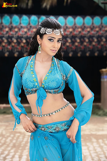 Shreya saran hot, shriya saran navel HD phone wallpaper