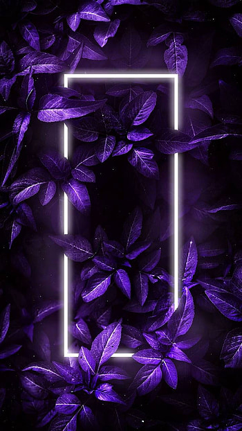 Nature Neon Light Foliage HD phone wallpaper