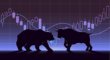 Bull Vs Bear, trader HD wallpaper