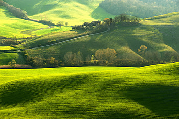 Ultra Nature on Dog, best laptop HD wallpaper