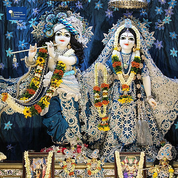 sammohini dasi on Daily Darshan @ Vrindavan Chandrodaya Mandir HD phone wallpaper