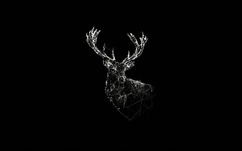 laptop, dark profile HD wallpaper