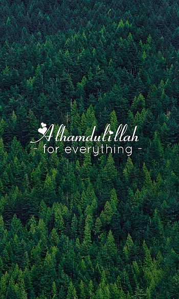 230 Best Alhamdulillah for every Blessing in 2020 HD phone wallpaper