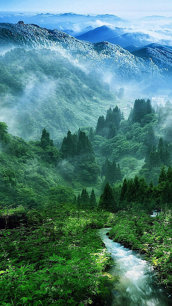 Nature , nature full screen mobile HD phone wallpaper