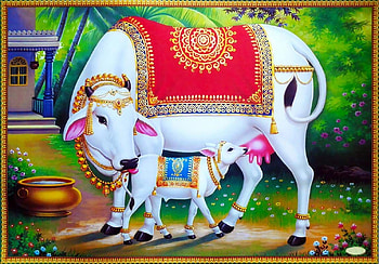 PAPER PLANE DESIGN Hindu Religious Kamdhenu Cow with Calf Unframed Wall Poster, kamadhenu HD wallpaper