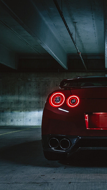 Black Nissan GTR on Dog, gtr HD phone wallpaper