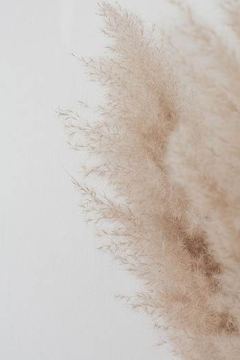 3 Beige Backgrounds, aesthetic ipad beige HD phone wallpaper