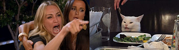 5120x1440] Woman Yelling at a Cat HD wallpaper