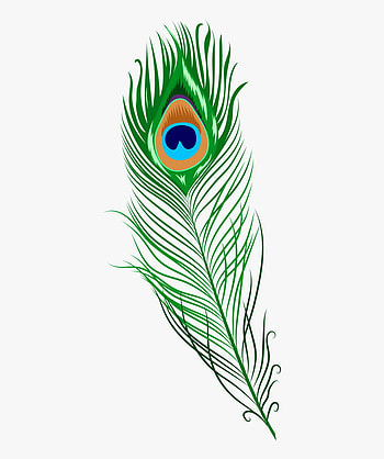Morpankh, Png, mor pankh HD phone wallpaper