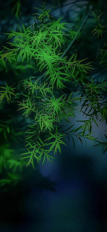 eye protection HD phone wallpaper