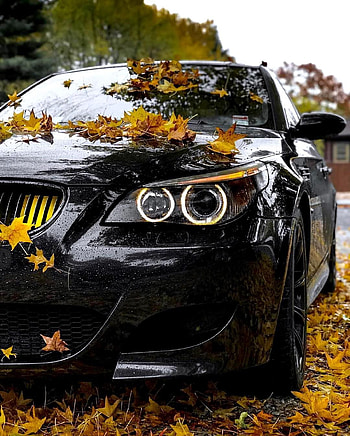 BMW M5 E60, autumn bmw HD phone wallpaper