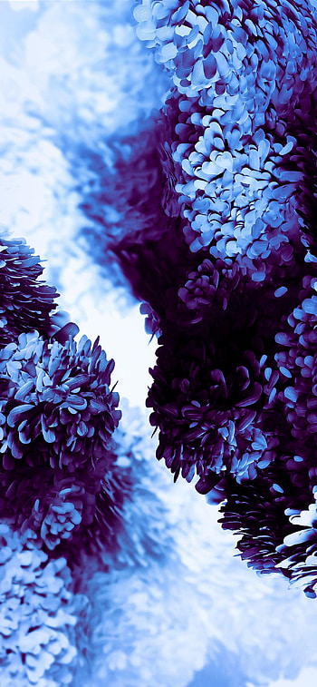 Samsung Galaxy S20 mods, samsung s20 HD phone wallpaper