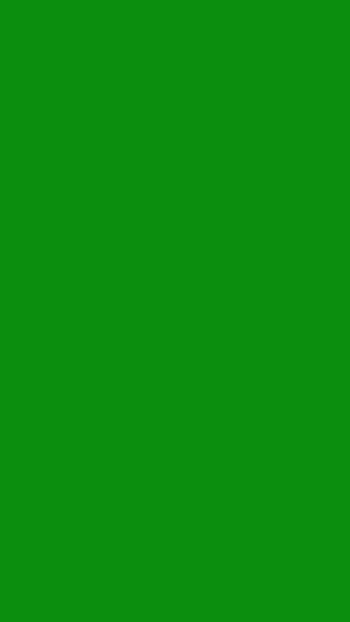 Jual backgrounds hijau 2x2,7 meter, background hijau HD phone wallpaper