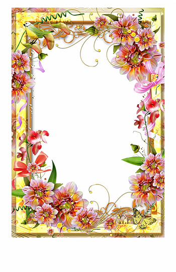 Yellow Frame Png, page border HD phone wallpaper