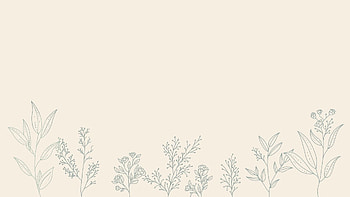 Aesthetic Minimalist, minimalist aesthetic pc HD wallpaper