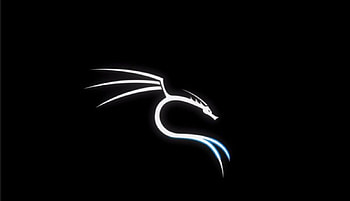 Hacker Kali Linux, amoled terminal linux HD wallpaper