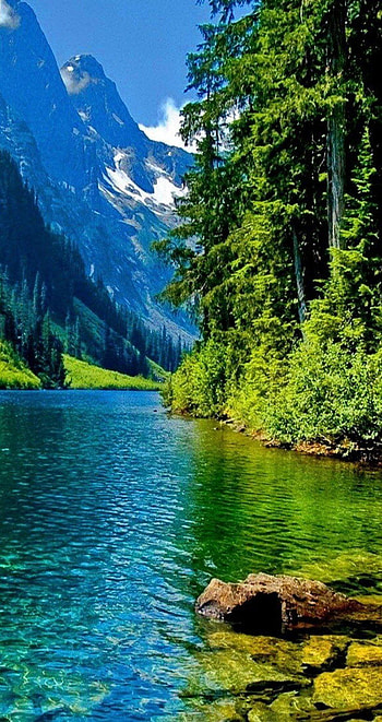 Nature Green Water Smart [852x1608] for your , Mobile & Tablet, green nature HD phone wallpaper
