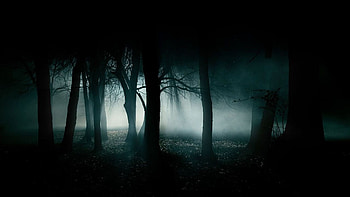 Horror Backgrounds Group, dark horror HD wallpaper