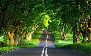 Nature For Nature Full Size HD wallpaper
