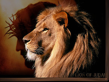 Lion of Judah, lion god HD wallpaper
