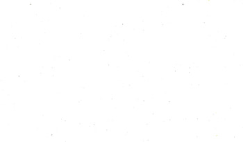 white backgrounds plain https://www. pop/white, background white HD wallpaper