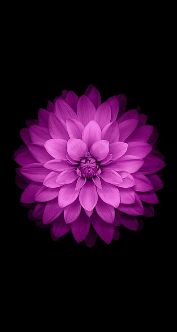 All 15 from iOS 8 Right Now « iOS & HD phone wallpaper