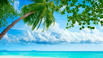 Live Nature For PC Group, computer nature HD wallpaper