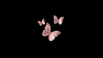 Butterfly laptop /backgrounds in 2021, aesthetic butterfly laptop pink HD wallpaper