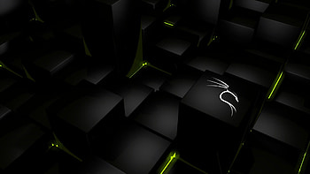 GitHub, kali linux HD wallpaper