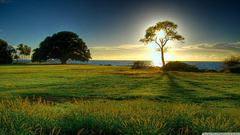 Landscape Nature ❤ for Ultra TV, 1366x768 nature HD wallpaper