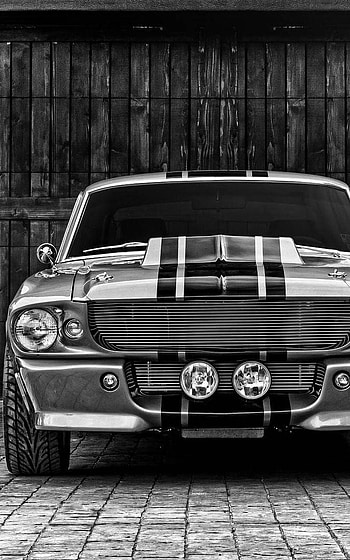 6 Shelby Portrait, 1967 ford mustang shelby gt500 HD phone wallpaper