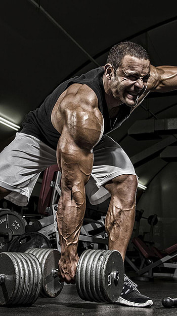 Man Gym Muscle Workout Sport Dumbbells 720x1280, bodybuilding gym HD phone wallpaper