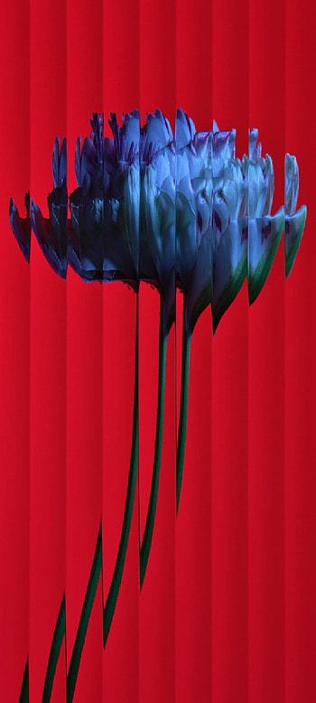Nothing 1 leaked: them here HD phone wallpaper