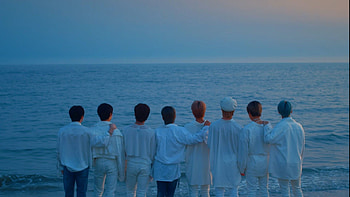 Stray Kids on Dog, stray kids ot8 HD wallpaper