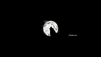 7 for Youtube Channel Art, youtube black banner HD wallpaper