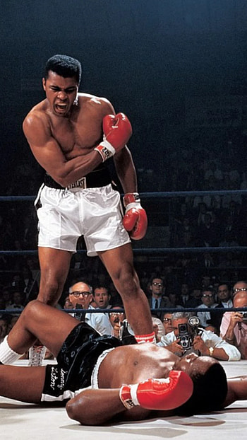 Muhammad Ali on Dog, boxing HD phone wallpaper