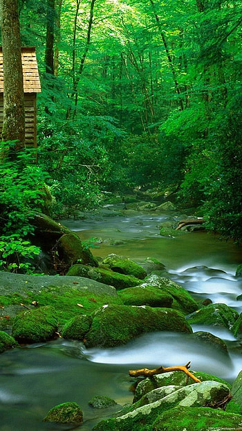 Backgrounds For Android s On Nature, nature full screen mobile HD phone wallpaper