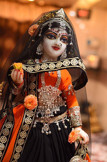 Vijay Baniya on varad, radha rani HD phone wallpaper